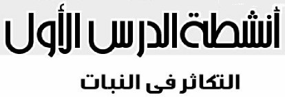 أنشطة الدرس الأول: التكاثر في النبات